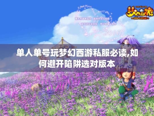 单人单号玩梦幻西游私服必读,如何避开陷阱选对版本