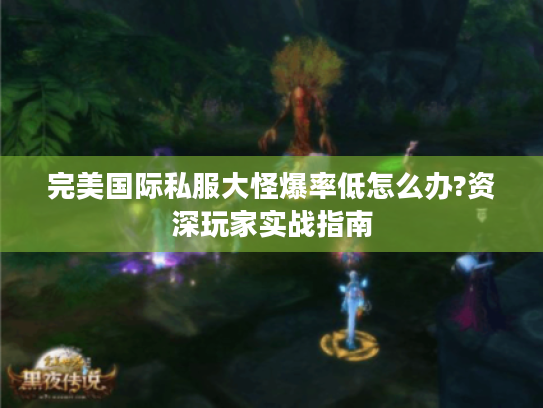 完美国际私服大怪爆率低怎么办?资深玩家实战指南 完美国际私服大怪爆率低怎么办?资深玩家实战指南