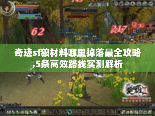 奇迹sf狼材料哪里掉落最全攻略,5条高效路线实测解析 奇迹sf狼材料哪里掉落最全攻略,5条高效路线实测解析