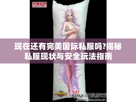 现在还有完美国际私服吗?揭秘私服现状与安全玩法指南