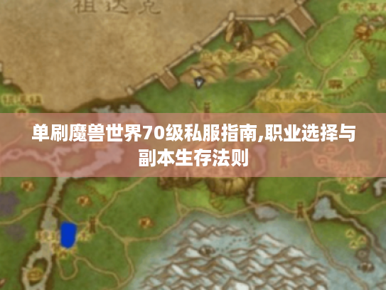 单刷魔兽世界70级私服指南,职业选择与副本生存法则