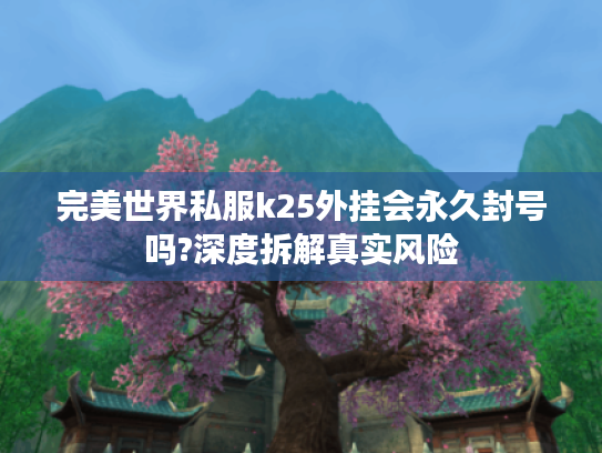 完美世界私服k25外挂会永久封号吗?深度拆解真实风险 完美世界私服k25外挂会永久封号吗?深度拆解真实风险
