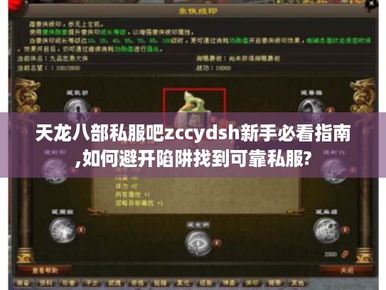 天龙八部私服吧zccydsh新手必看指南,如何避开陷阱找到可靠私服?