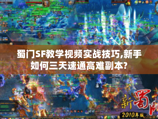 蜀门SF教学视频实战技巧,新手如何三天速通高难副本?