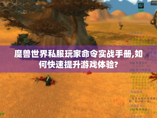 魔兽世界私服玩家命令实战手册,如何快速提升游戏体验?