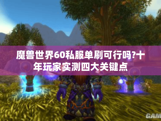 魔兽世界60私服单刷可行吗?十年玩家实测四大关键点
