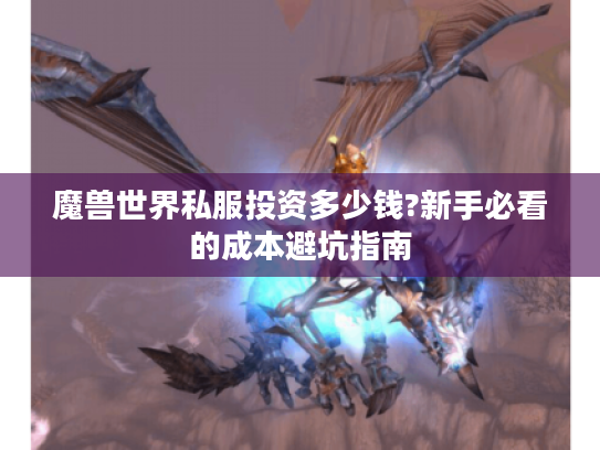 魔兽世界私服投资多少钱?新手必看的成本避坑指南