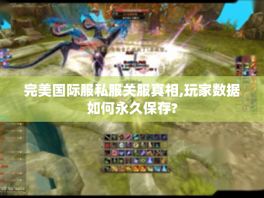 完美国际服私服关服真相,玩家数据如何永久保存?
