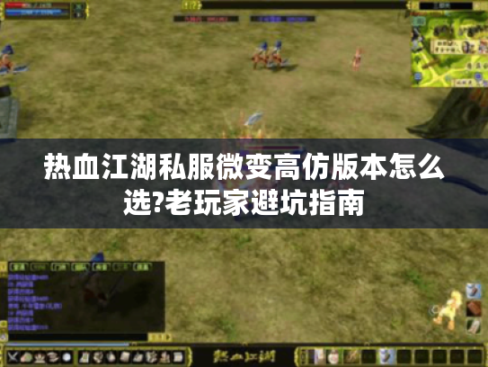 热血江湖私服微变高仿版本怎么选?老玩家避坑指南