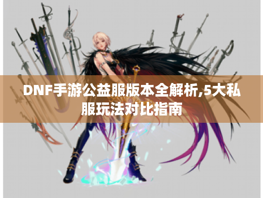 DNF手游公益服版本全解析,5大私服玩法对比指南