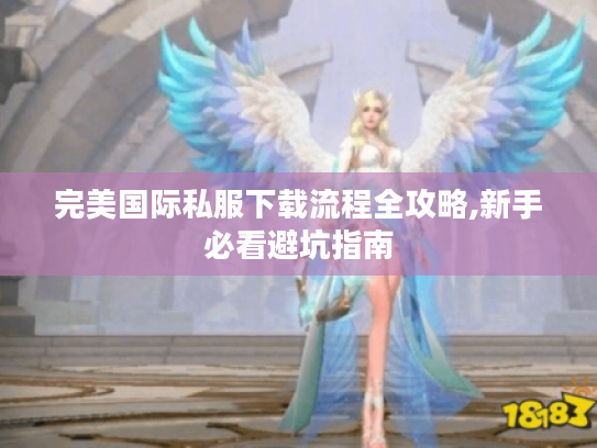 完美国际私服下载流程全攻略,新手必看避坑指南
