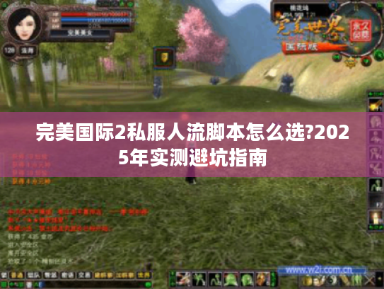 完美国际2私服人流脚本怎么选?2025年实测避坑指南