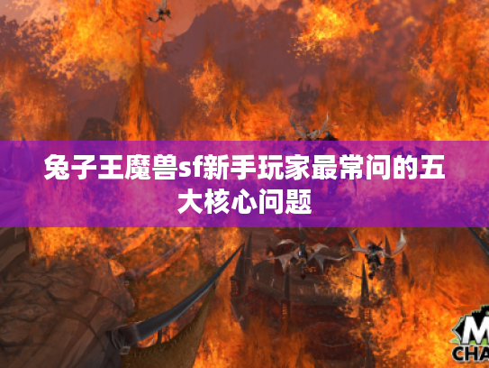 兔子王魔兽sf新手玩家最常问的五大核心问题