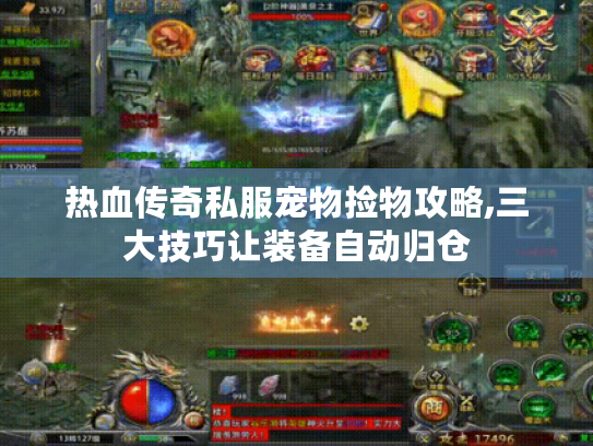 热血传奇私服宠物捡物攻略,三大技巧让装备自动归仓