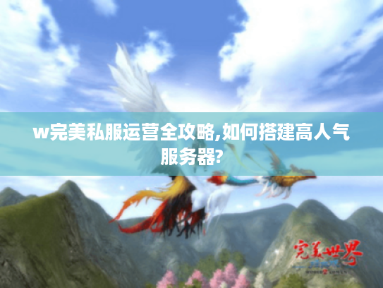 w完美私服运营全攻略,如何搭建高人气服务器?
