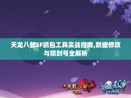 天龙八部SF抓包工具实战指南,数据修改与防封号全解析