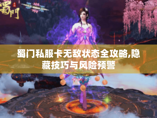 蜀门私服卡无敌状态全攻略,隐藏技巧与风险预警