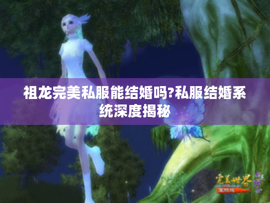 祖龙完美私服能结婚吗?私服结婚系统深度揭秘