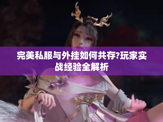 完美私服与外挂如何共存?玩家实战经验全解析