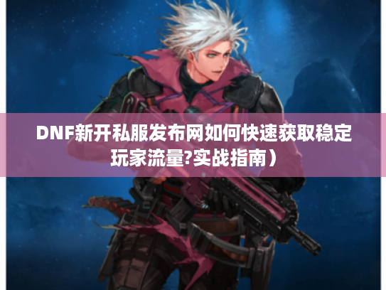 DNF新开私服发布网如何快速获取稳定玩家流量?实战指南）