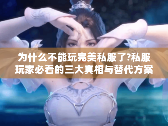 为什么不能玩完美私服了?私服玩家必看的三大真相与替代方案