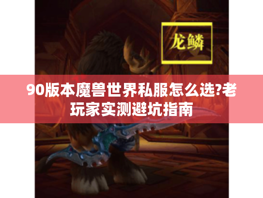 90版本魔兽世界私服怎么选?老玩家实测避坑指南