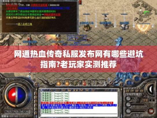 网通热血传奇私服发布网有哪些避坑指南?老玩家实测推荐 网通热血传奇私服发布网有哪些避坑指南?老玩家实测推荐