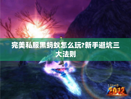完美私服黑蚂蚁怎么玩?新手避坑三大法则