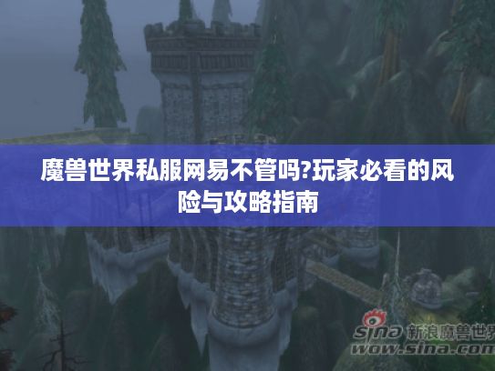 魔兽世界私服网易不管吗?玩家必看的风险与攻略指南