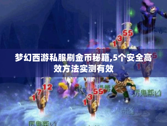 梦幻西游私服刷金币秘籍,5个安全高效方法实测有效