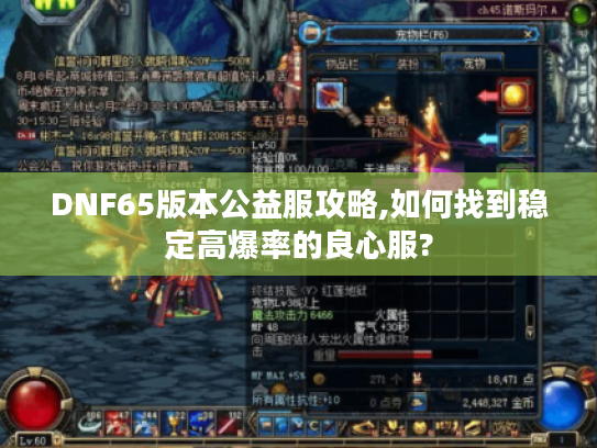 DNF65版本公益服攻略,如何找到稳定高爆率的良心服?