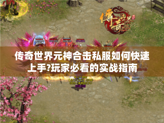 传奇世界元神合击私服如何快速上手?玩家必看的实战指南