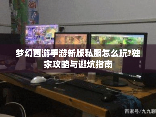 梦幻西游手游新版私服怎么玩?独家攻略与避坑指南 梦幻西游手游新版私服怎么玩?独家攻略与避坑指南