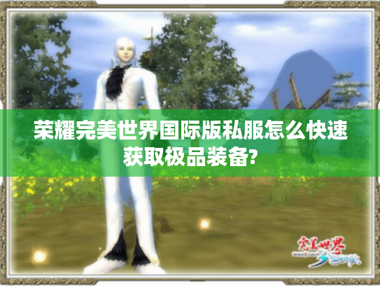 荣耀完美世界国际版私服怎么快速获取极品装备?