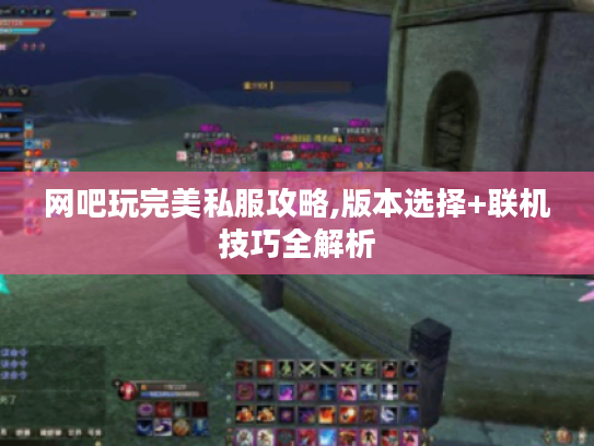 网吧玩完美私服攻略,版本选择+联机技巧全解析