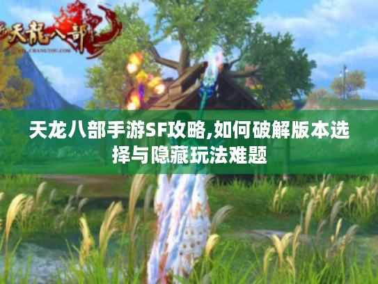 天龙八部手游SF攻略,如何破解版本选择与隐藏玩法难题