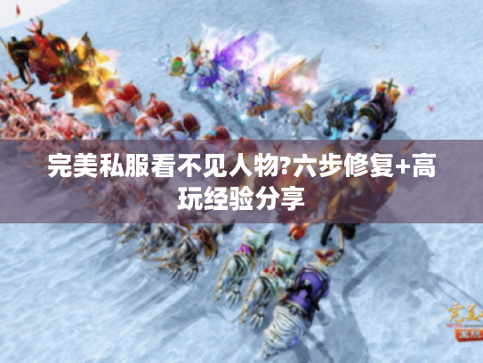 完美私服看不见人物?六步修复+高玩经验分享