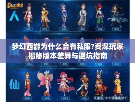 梦幻西游为什么会有私服?资深玩家揭秘版本差异与避坑指南