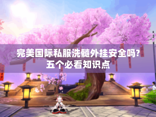 完美国际私服洗髓外挂安全吗?五个必看知识点