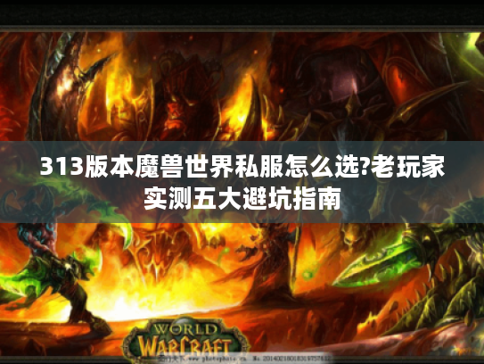 313版本魔兽世界私服怎么选?老玩家实测五大避坑指南