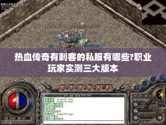 热血传奇有刺客的私服有哪些?职业玩家实测三大版本