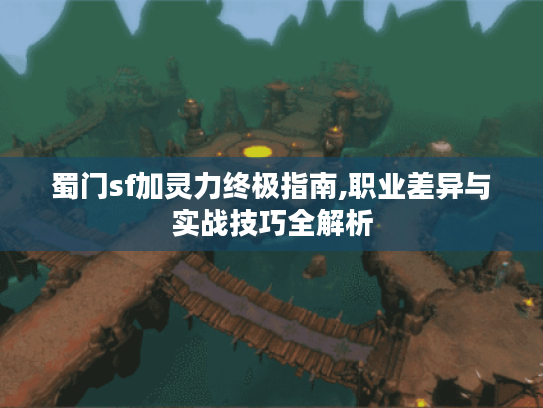 蜀门sf加灵力终极指南,职业差异与实战技巧全解析