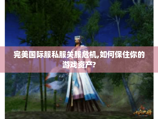 完美国际服私服关服危机,如何保住你的游戏资产?