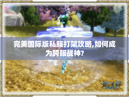 完美国际版私服打架攻略,如何成为跨服战神? 完美国际版私服打架攻略,如何成为跨服战神?