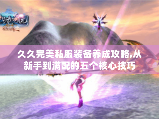 久久完美私服装备养成攻略,从新手到满配的五个核心技巧