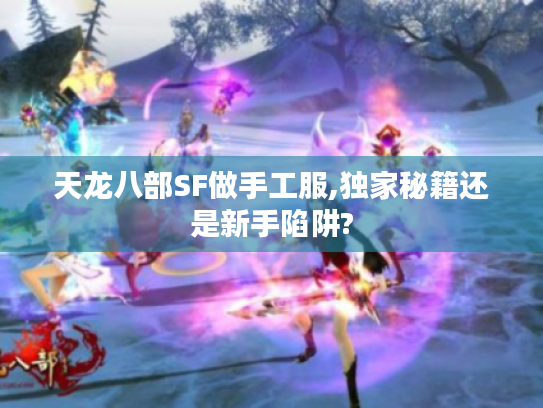 天龙八部SF做手工服,独家秘籍还是新手陷阱?