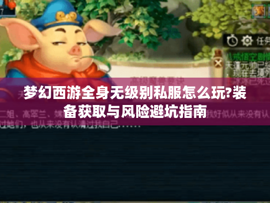 梦幻西游全身无级别私服怎么玩?装备获取与风险避坑指南