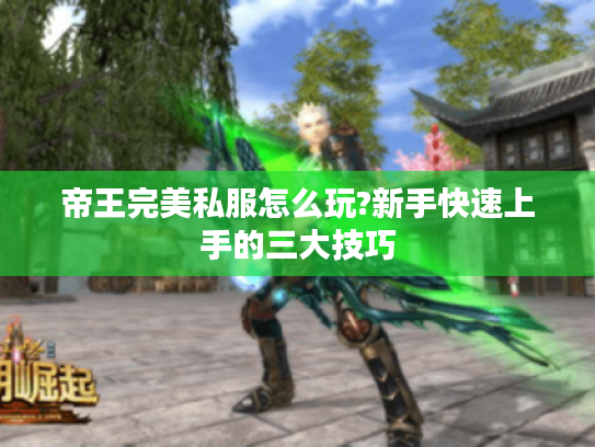 帝王完美私服怎么玩?新手快速上手的三大技巧