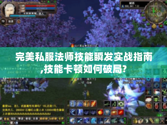 完美私服法师技能瞬发实战指南,技能卡顿如何破局?