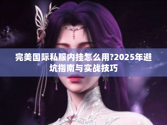 完美国际私服内挂怎么用?2025年避坑指南与实战技巧